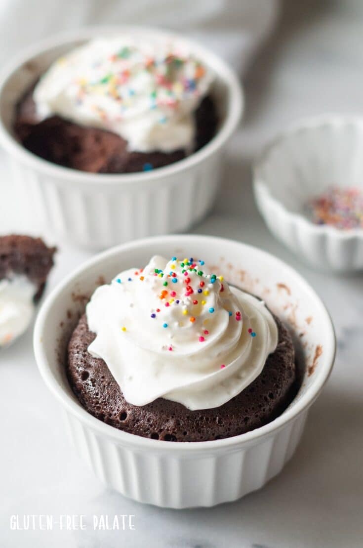 Chocolate Lava Cupcakes Recipe | by Leigh Anne Wilkes