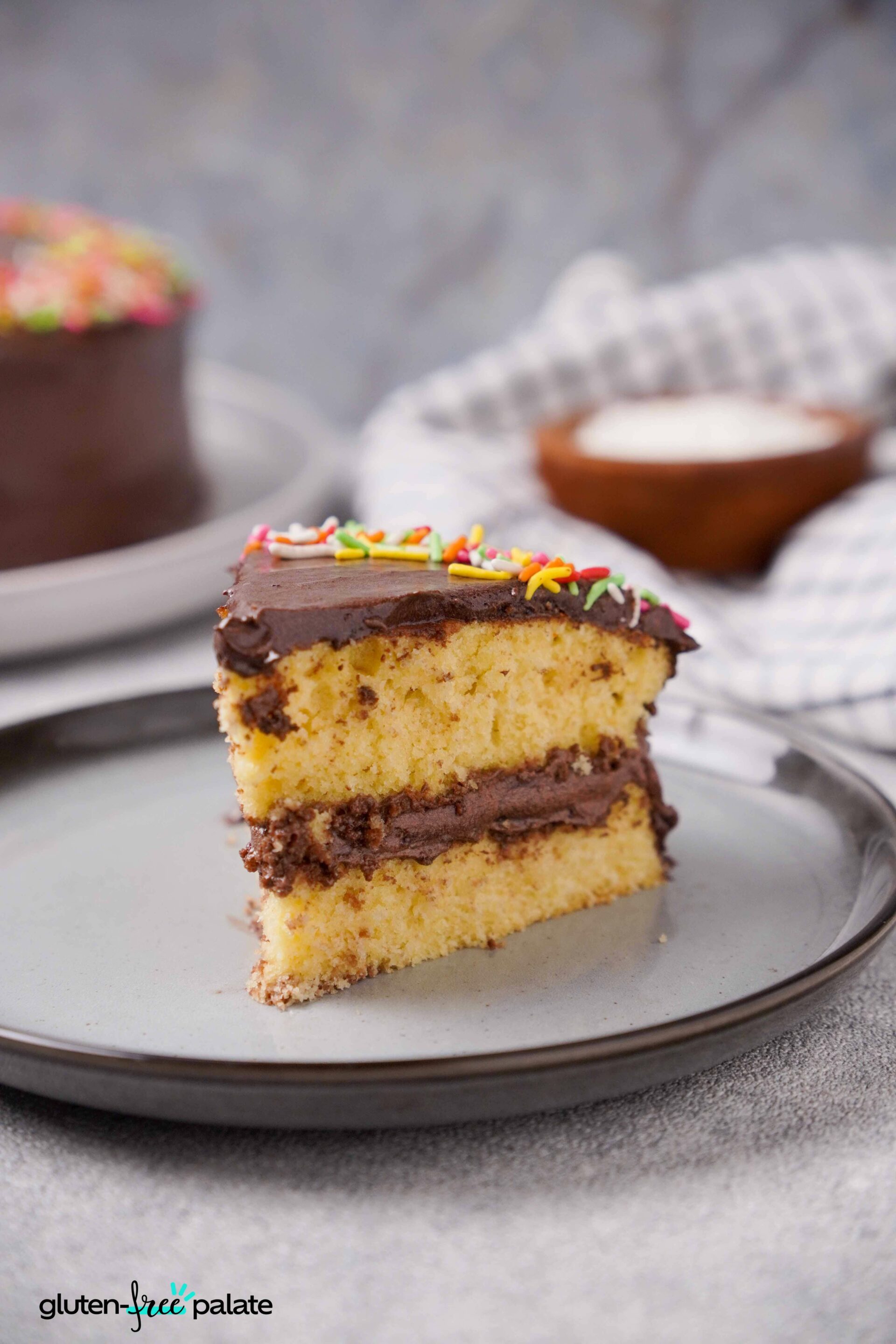 Soft And Light Chocolate Sponge Cake – Baking Like a Chef