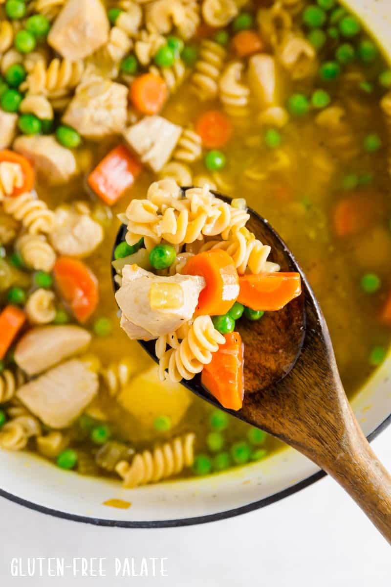 Chicken Noodle Soup - organic chicken, gluten-free noodles in bone