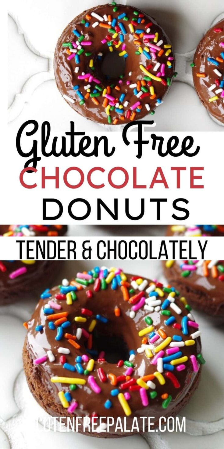 Baked Chocolate Cake Glazed Donuts (Gluten Free) - Basics with Bails