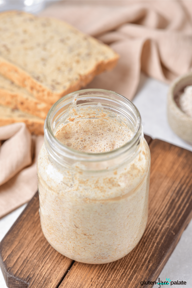 Gluten-Free Sourdough Starter - Step-by-Step Recipe Printable Guide